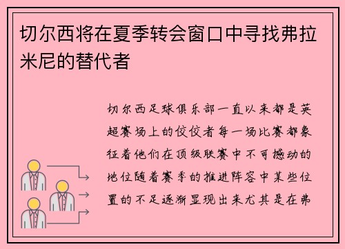 切尔西将在夏季转会窗口中寻找弗拉米尼的替代者