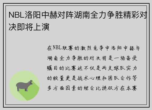 NBL洛阳中赫对阵湖南全力争胜精彩对决即将上演