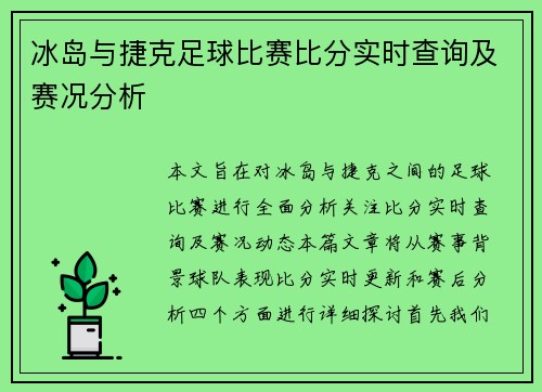 冰岛与捷克足球比赛比分实时查询及赛况分析