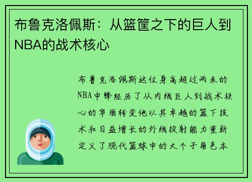 布鲁克洛佩斯：从篮筐之下的巨人到NBA的战术核心