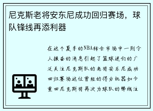 尼克斯老将安东尼成功回归赛场，球队锋线再添利器