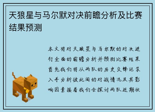 天狼星与马尔默对决前瞻分析及比赛结果预测