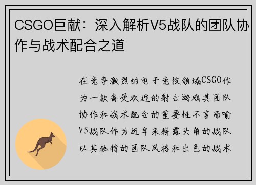 CSGO巨献：深入解析V5战队的团队协作与战术配合之道